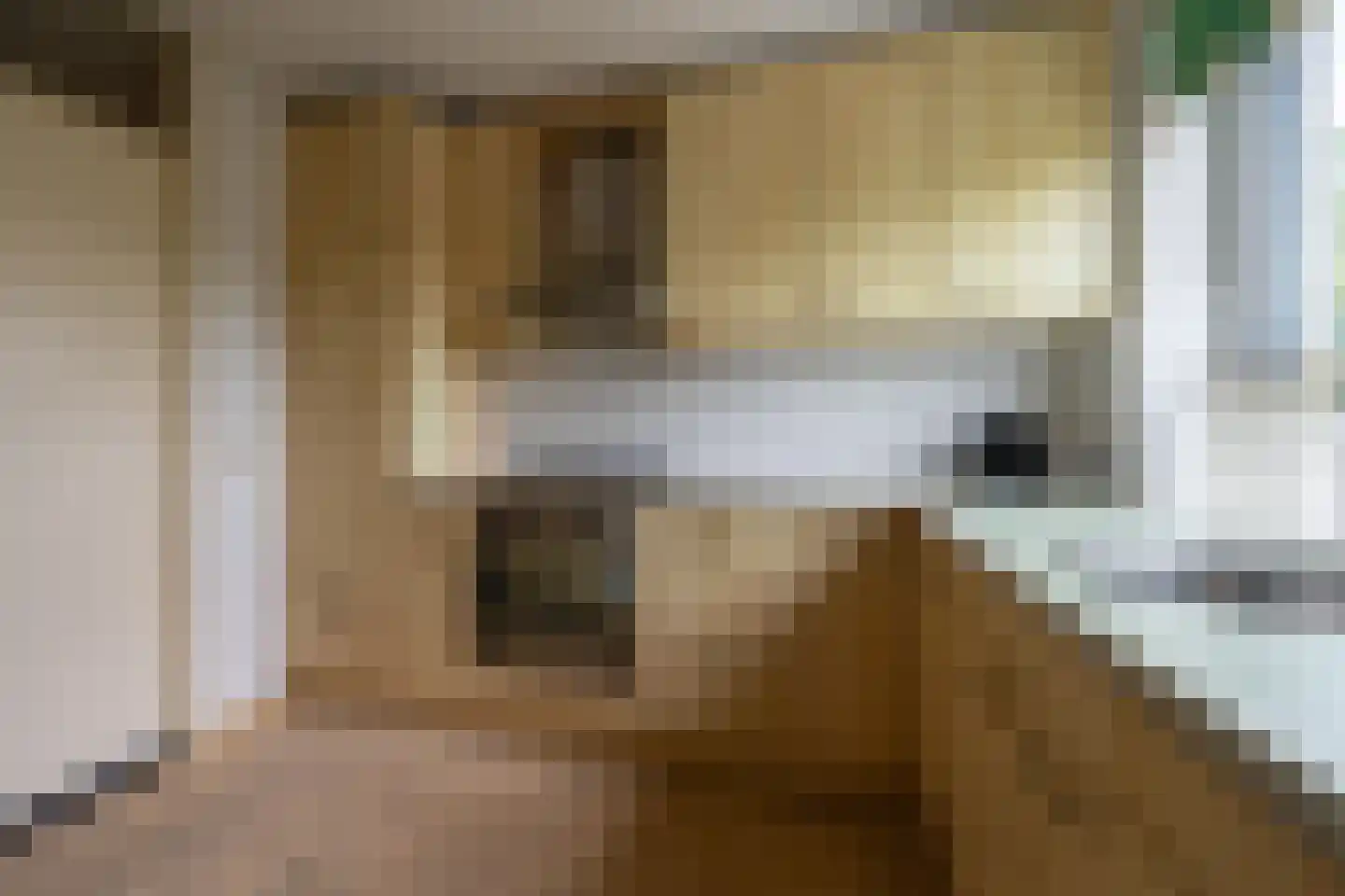 Antonlaan 306 Zeist thumbnail 10