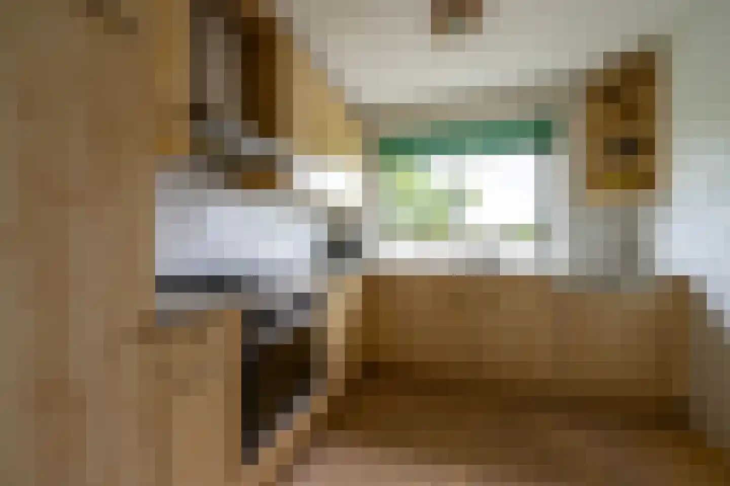 Antonlaan 306 Zeist thumbnail 11