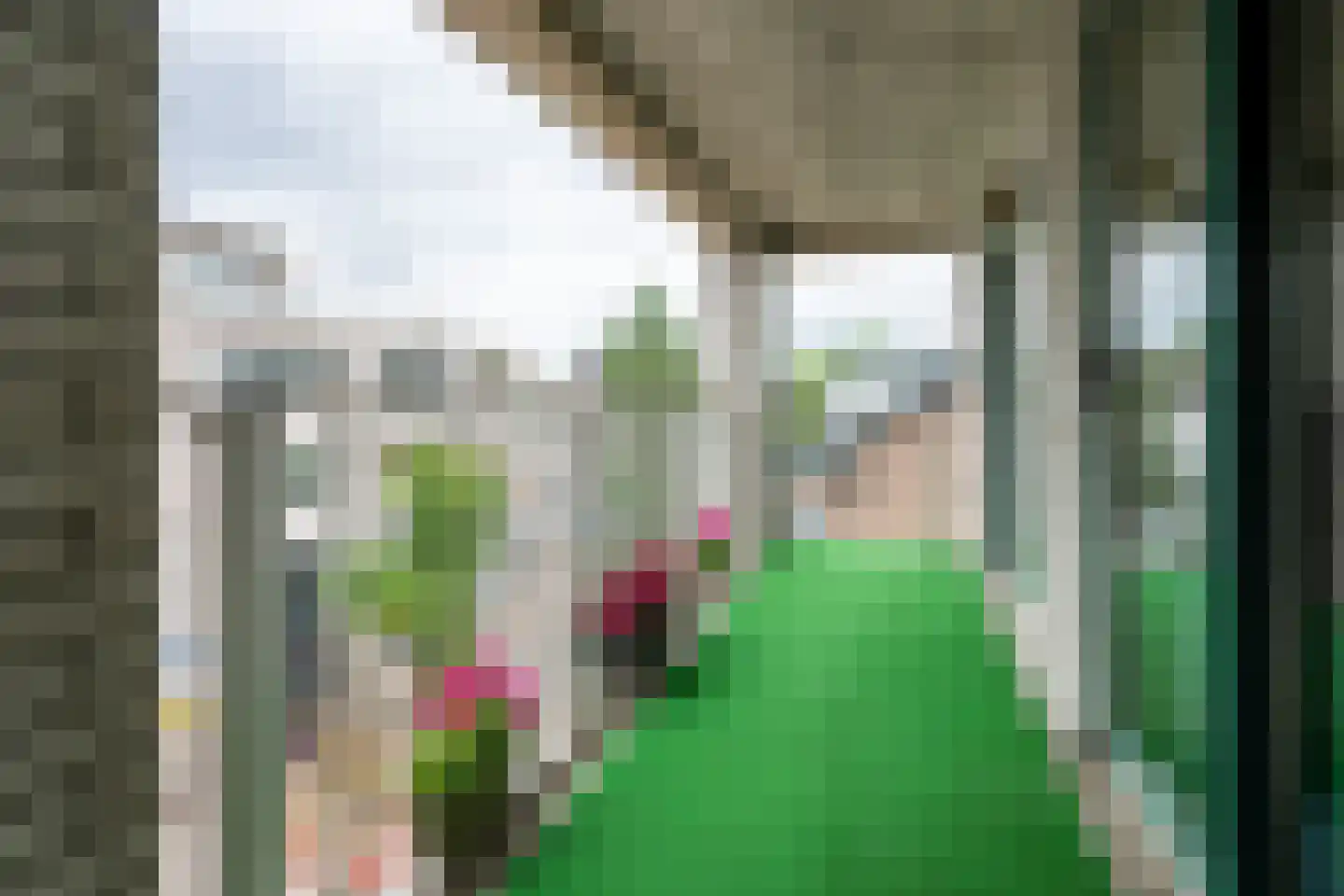 Antonlaan 306 Zeist thumbnail 23