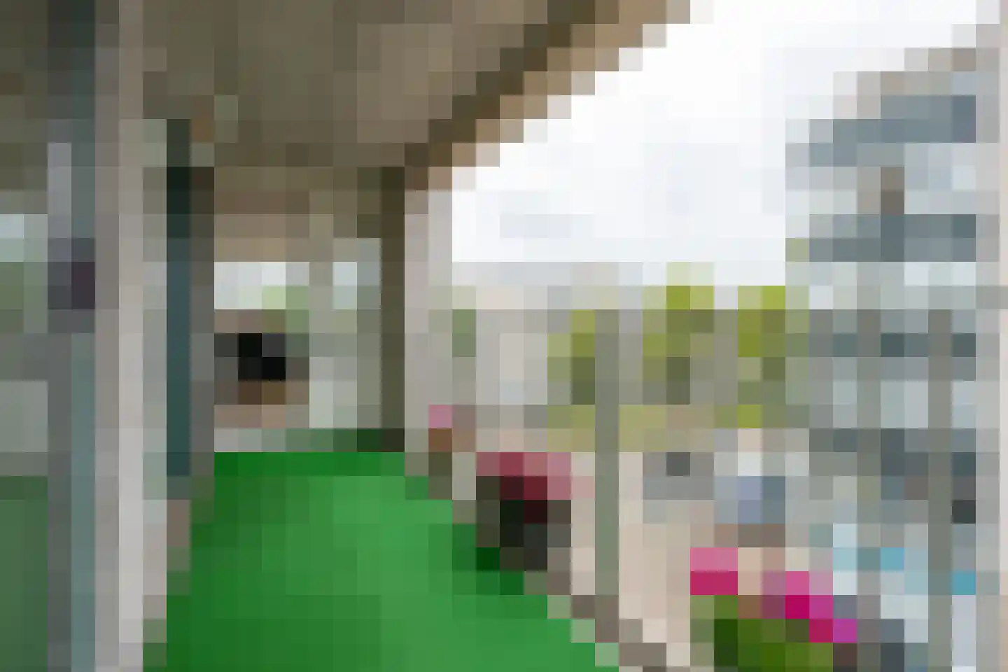Antonlaan 306 Zeist thumbnail 24