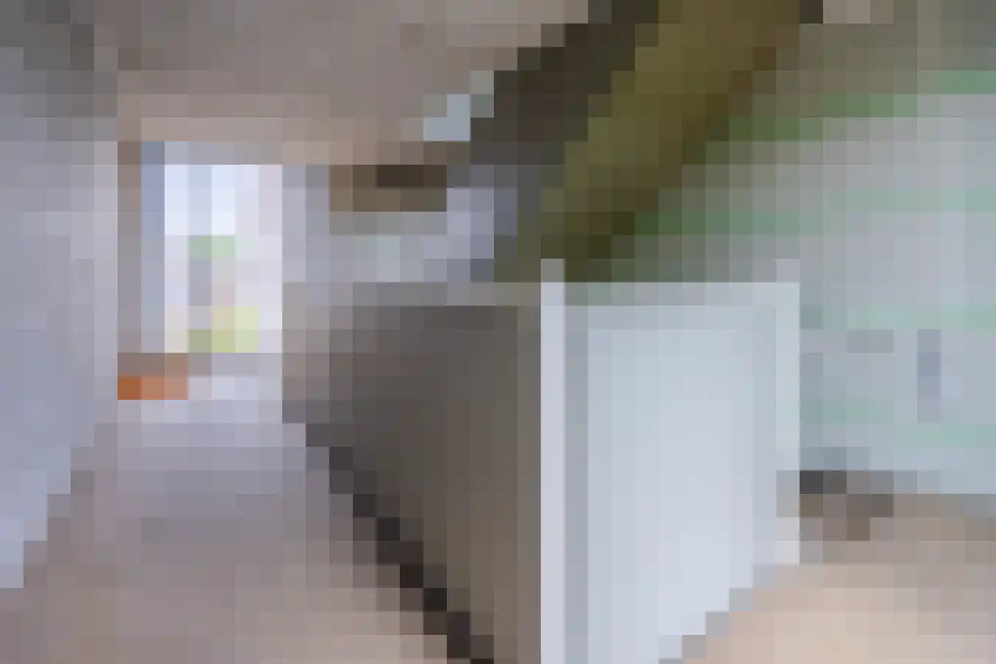Antonlaan 306 Zeist thumbnail 27