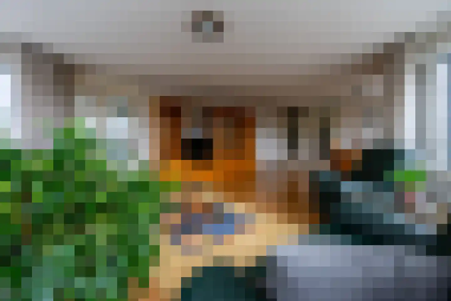 Antonlaan 306 Zeist thumbnail 7