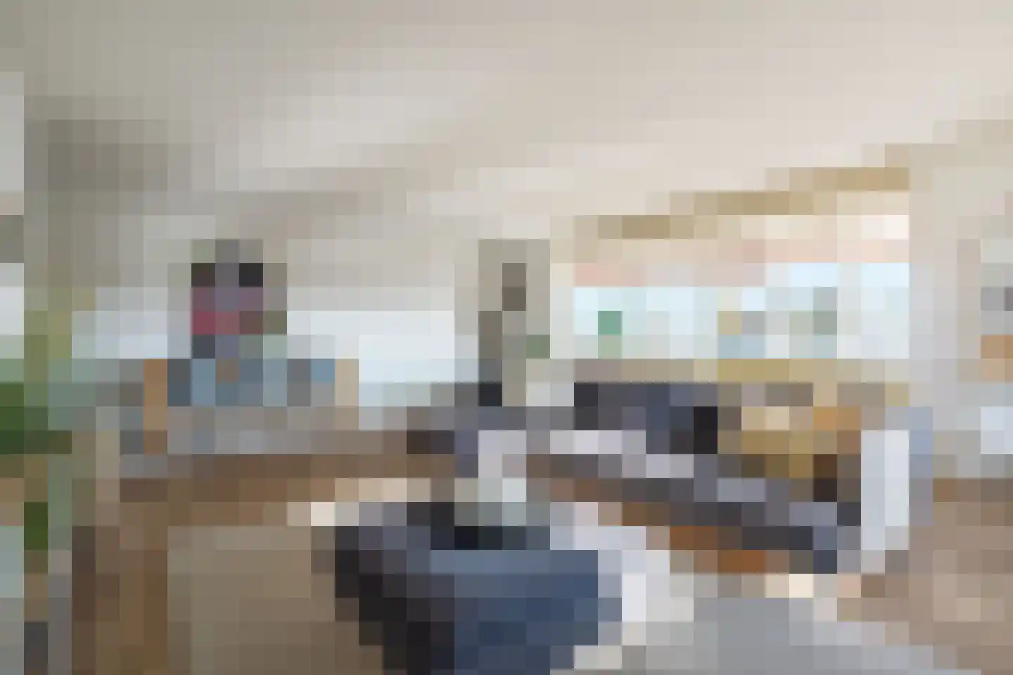 Antonlaan 342 Zeist thumbnail 11