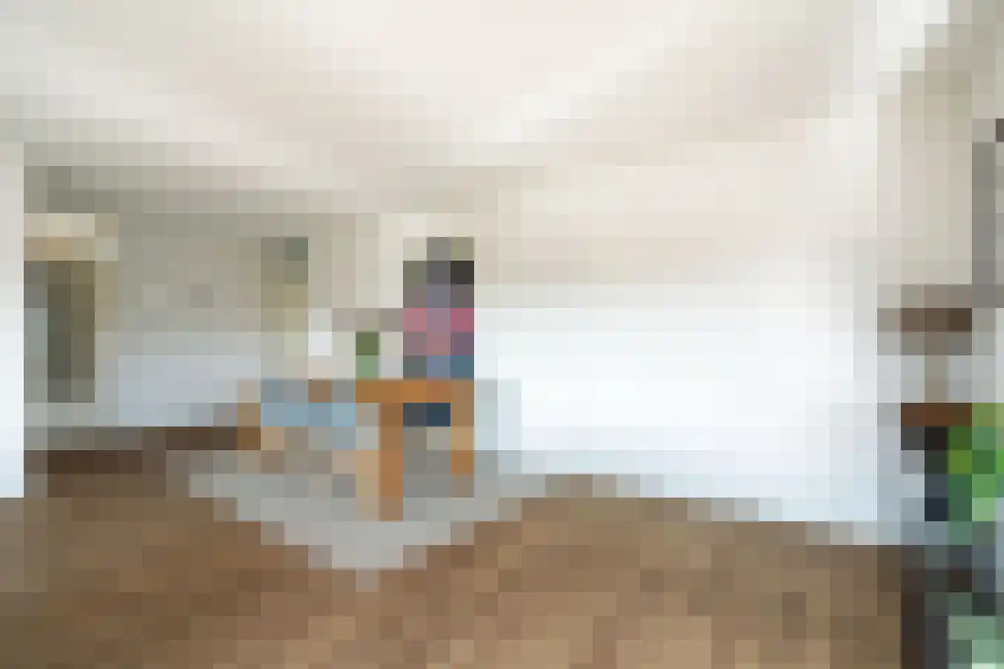 Antonlaan 342 Zeist thumbnail 13