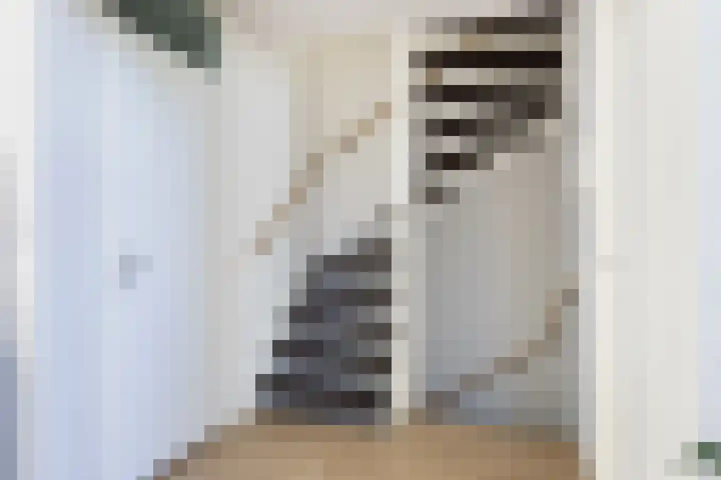 Antonlaan 582 Zeist thumbnail 11