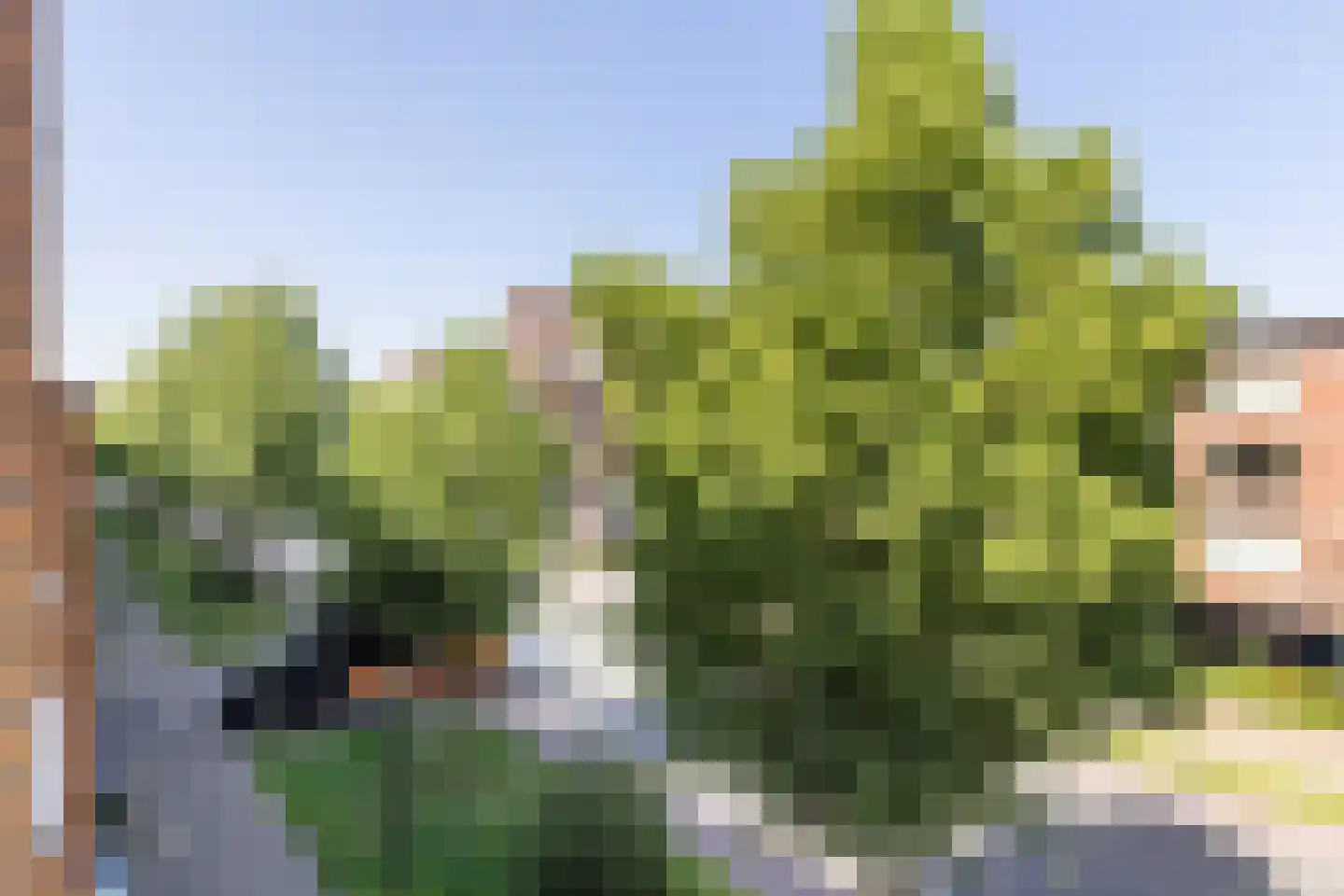 Antonlaan 582 Zeist thumbnail 14