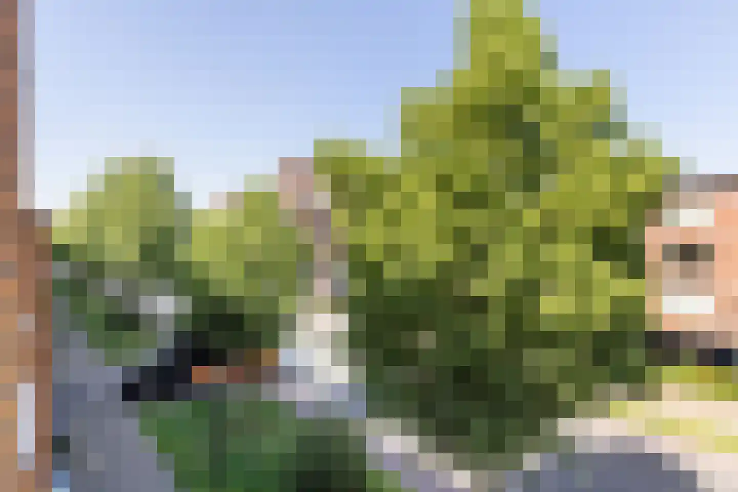 Antonlaan 582 Zeist thumbnail 15