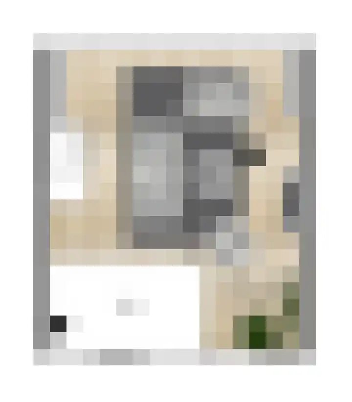 Antonlaan 594 Zeist thumbnail 8