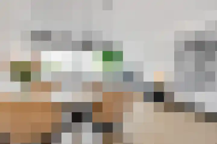 Antonlaan 76 Zeist thumbnail 19
