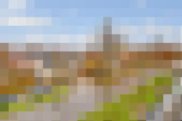 Antonlaan 76 Zeist thumbnail 21