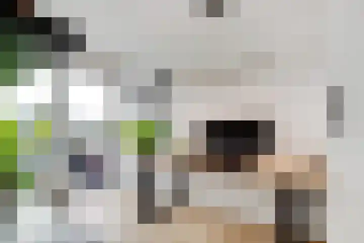Antonlaan 76 Zeist thumbnail 31