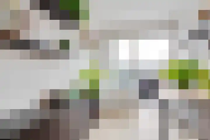 Antonlaan 76 Zeist thumbnail 32