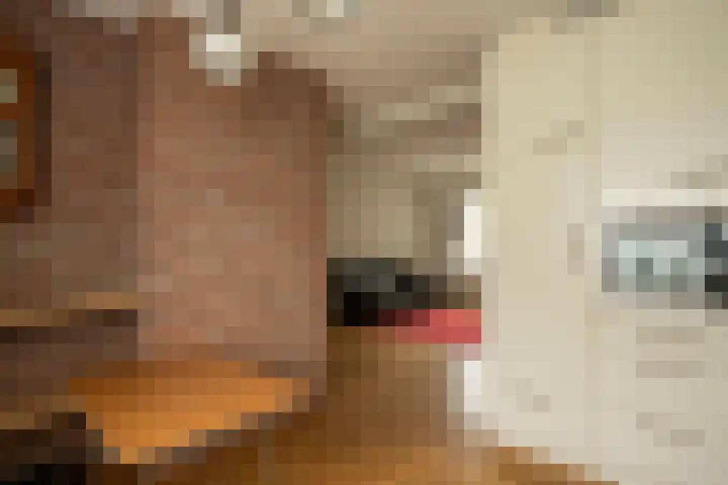 Antoon Coolenlaan 100 Bladel thumbnail 10