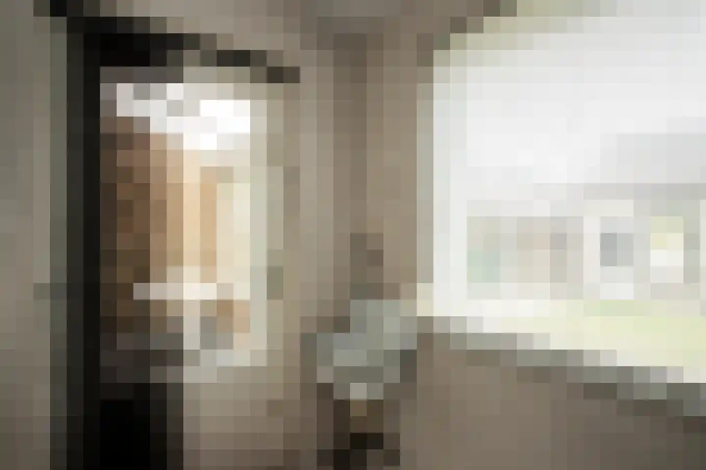 Antoon Coolenlaan 100 Bladel thumbnail 12