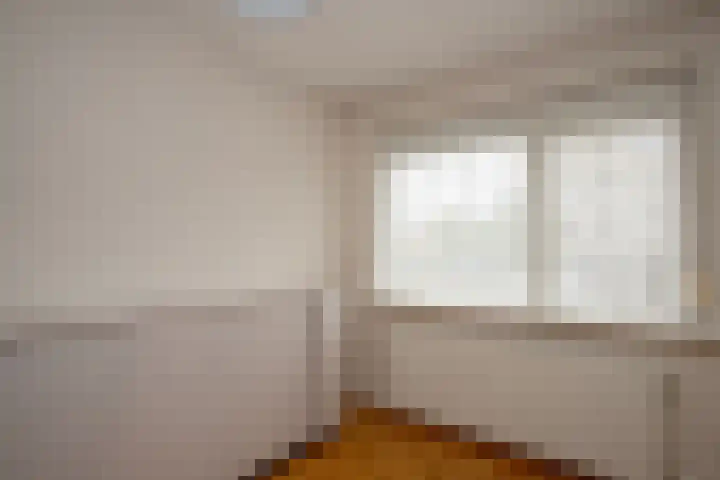 Antoon Coolenlaan 100 Bladel thumbnail 17
