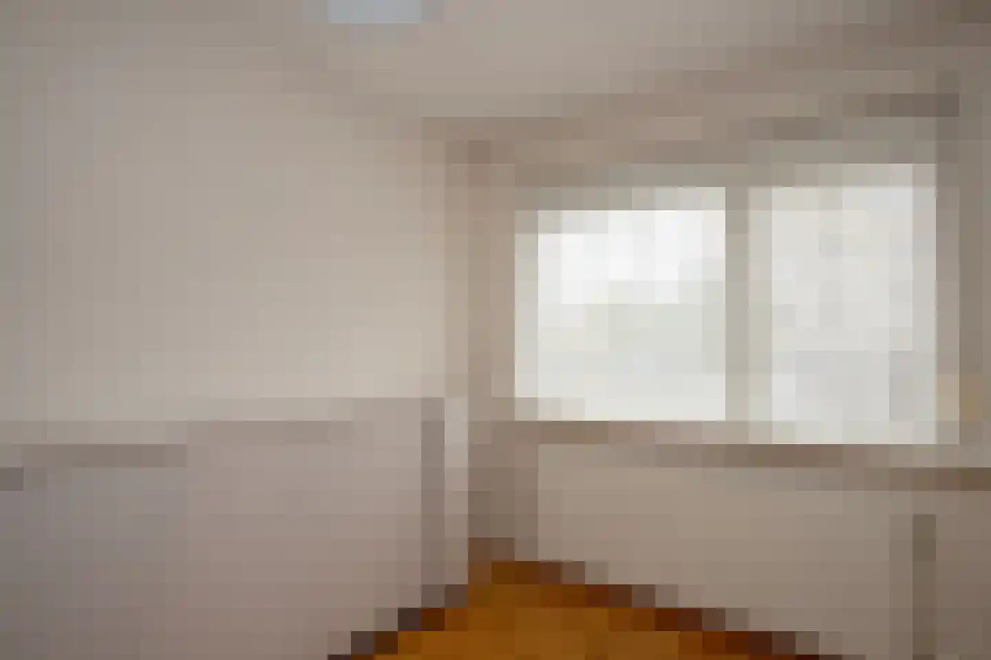 Antoon Coolenlaan 100 Bladel thumbnail 17