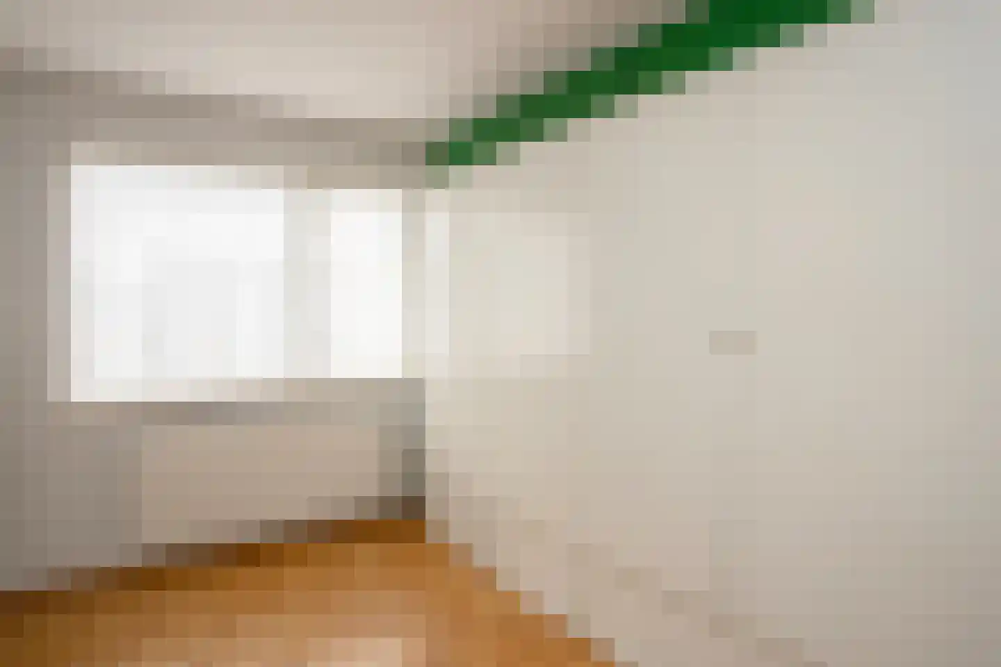 Antoon Coolenlaan 100 Bladel thumbnail 20