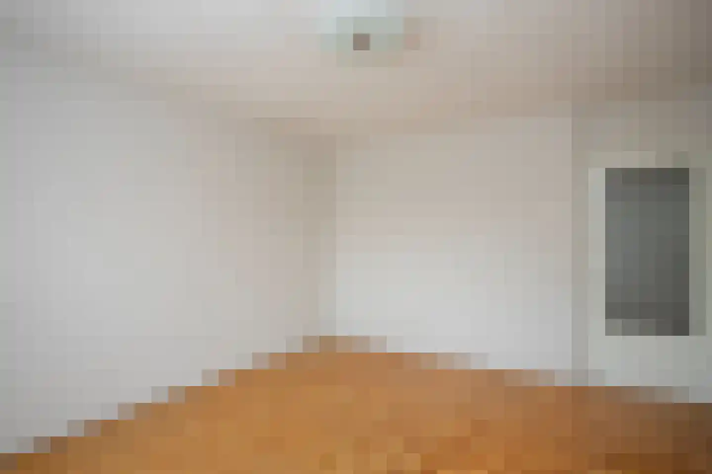 Antoon Coolenlaan 100 Bladel thumbnail 26