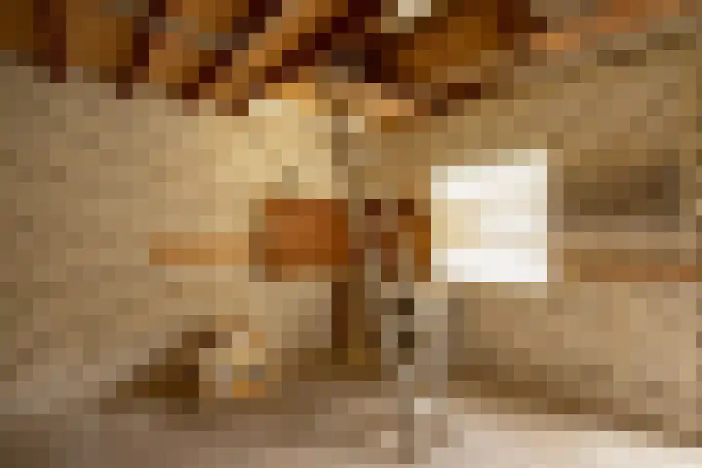 Antoon Coolenlaan 100 Bladel thumbnail 35