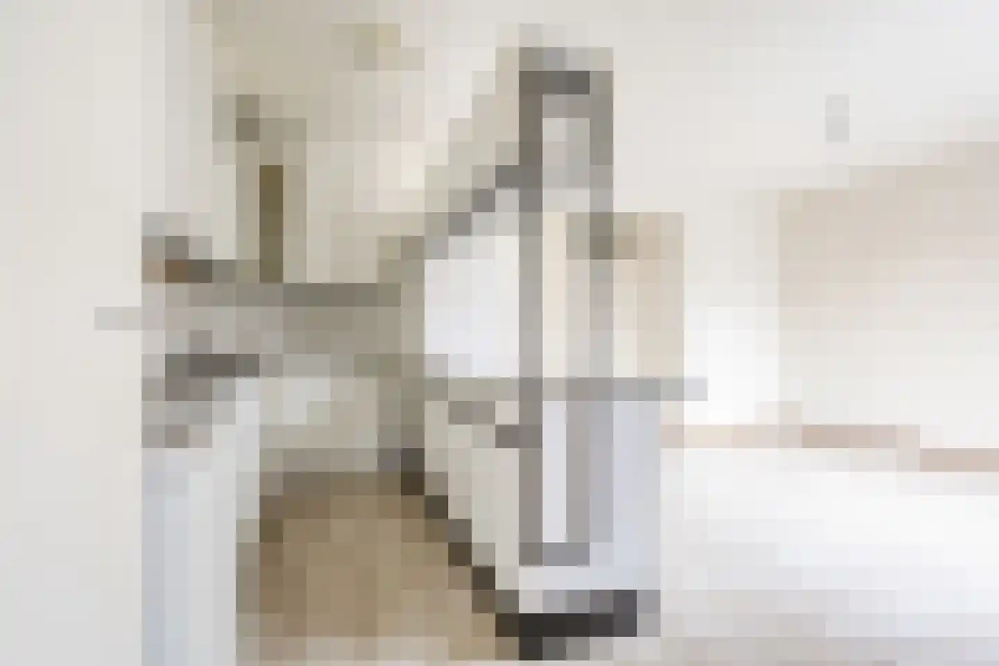 Antoon Coolenlaan 108 Bladel thumbnail 12