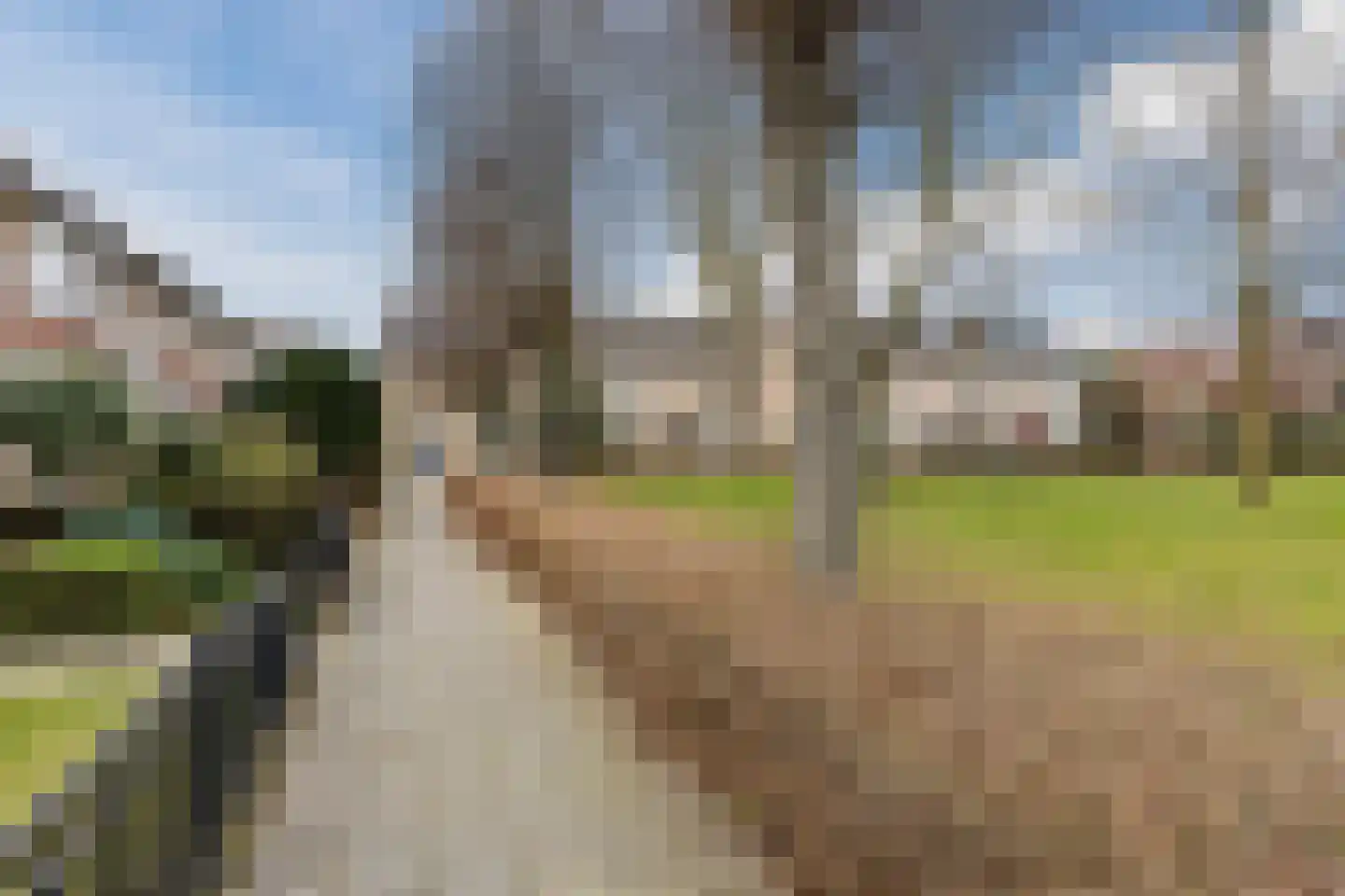 Antoon Coolenlaan 108 Bladel thumbnail 41