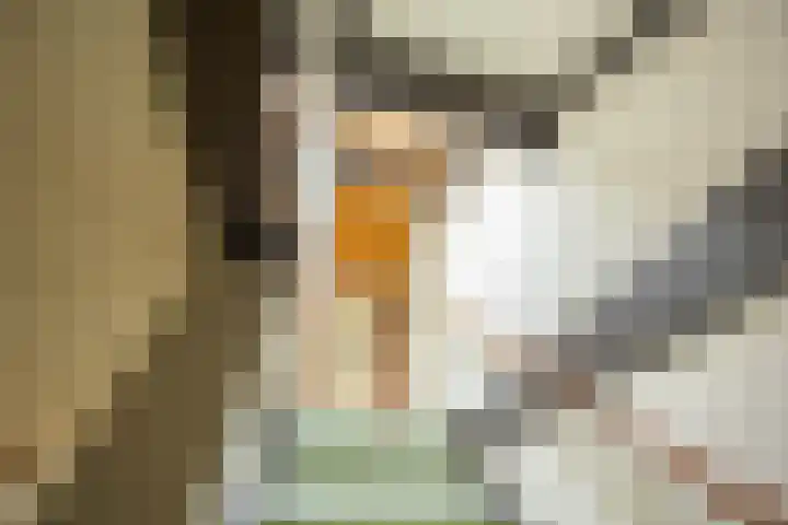 Antoon Coolenlaan 16 Groningen thumbnail 26