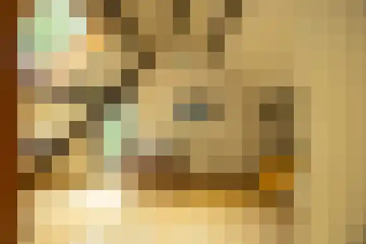 Antoon Coolenlaan 16 Groningen thumbnail 33
