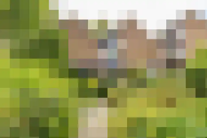 Antoon Coolenlaan 16 Groningen thumbnail 35