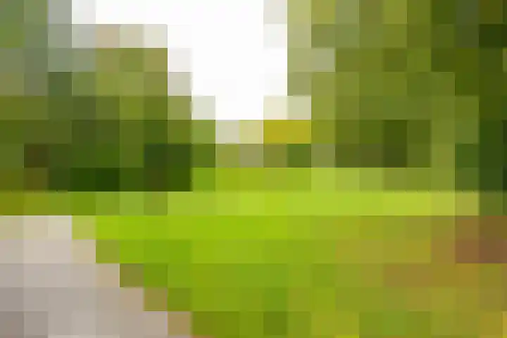 Antoon Coolenlaan 16 Groningen thumbnail 39