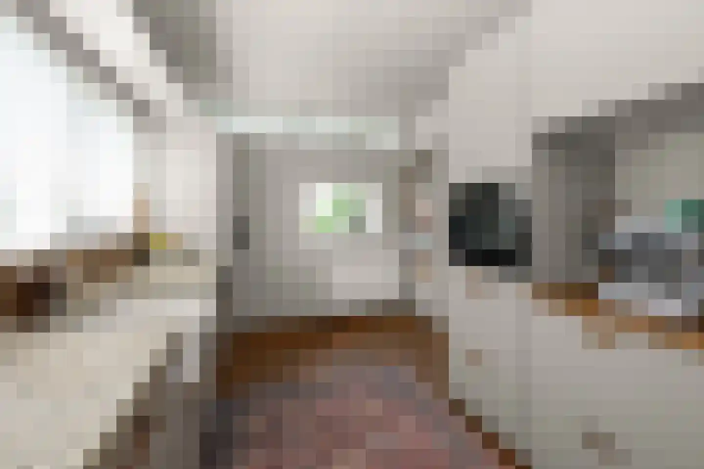 Antoon Coolenlaan 16 Uithoorn thumbnail 13
