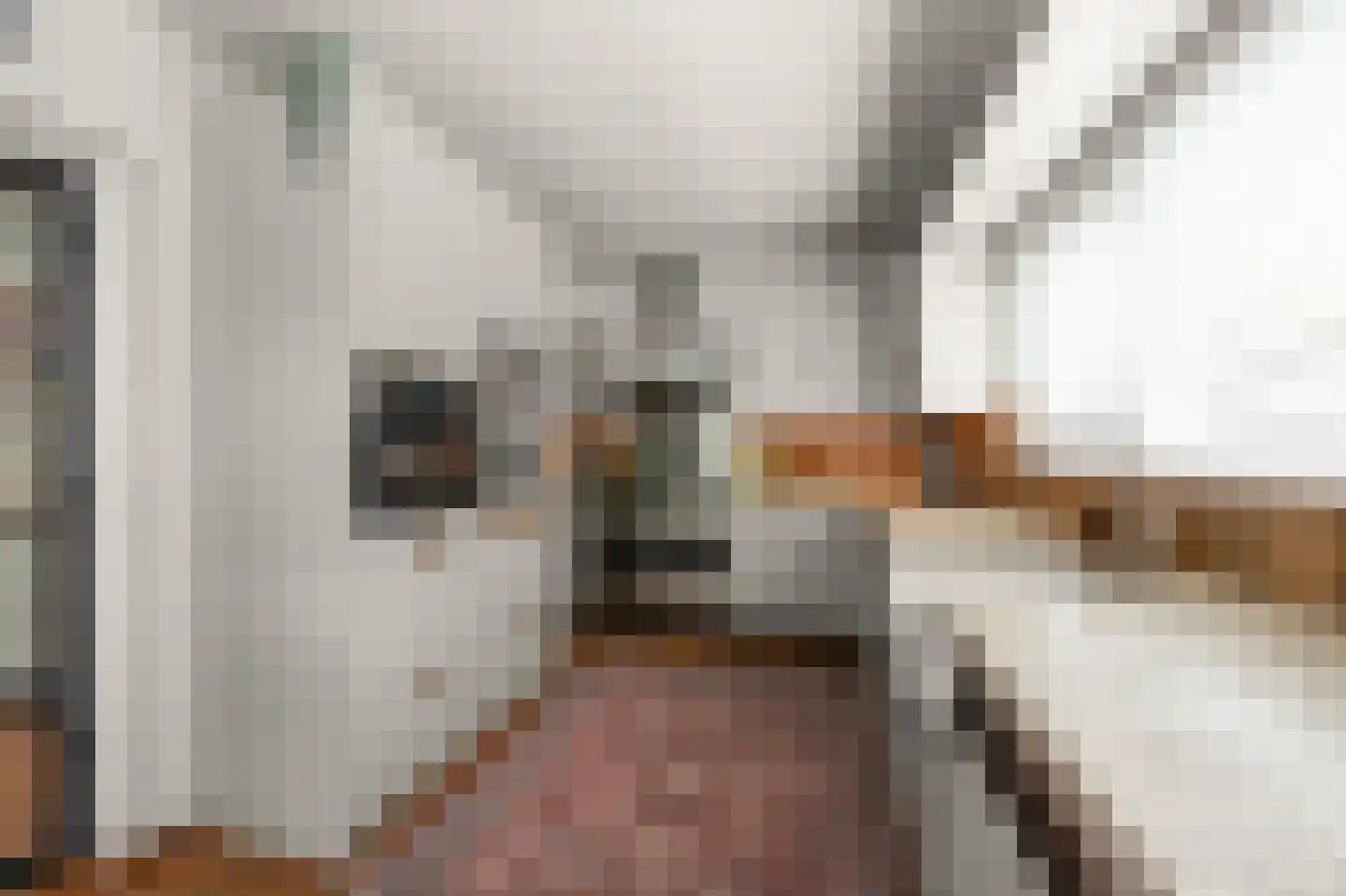 Antoon Coolenlaan 16 Uithoorn thumbnail 8