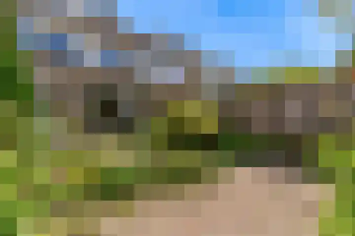 Antoon Coolenlaan 18 Uithoorn thumbnail 25
