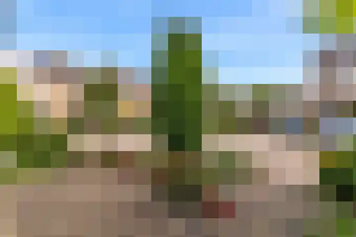 Antoon Coolenlaan 18 Uithoorn thumbnail 27