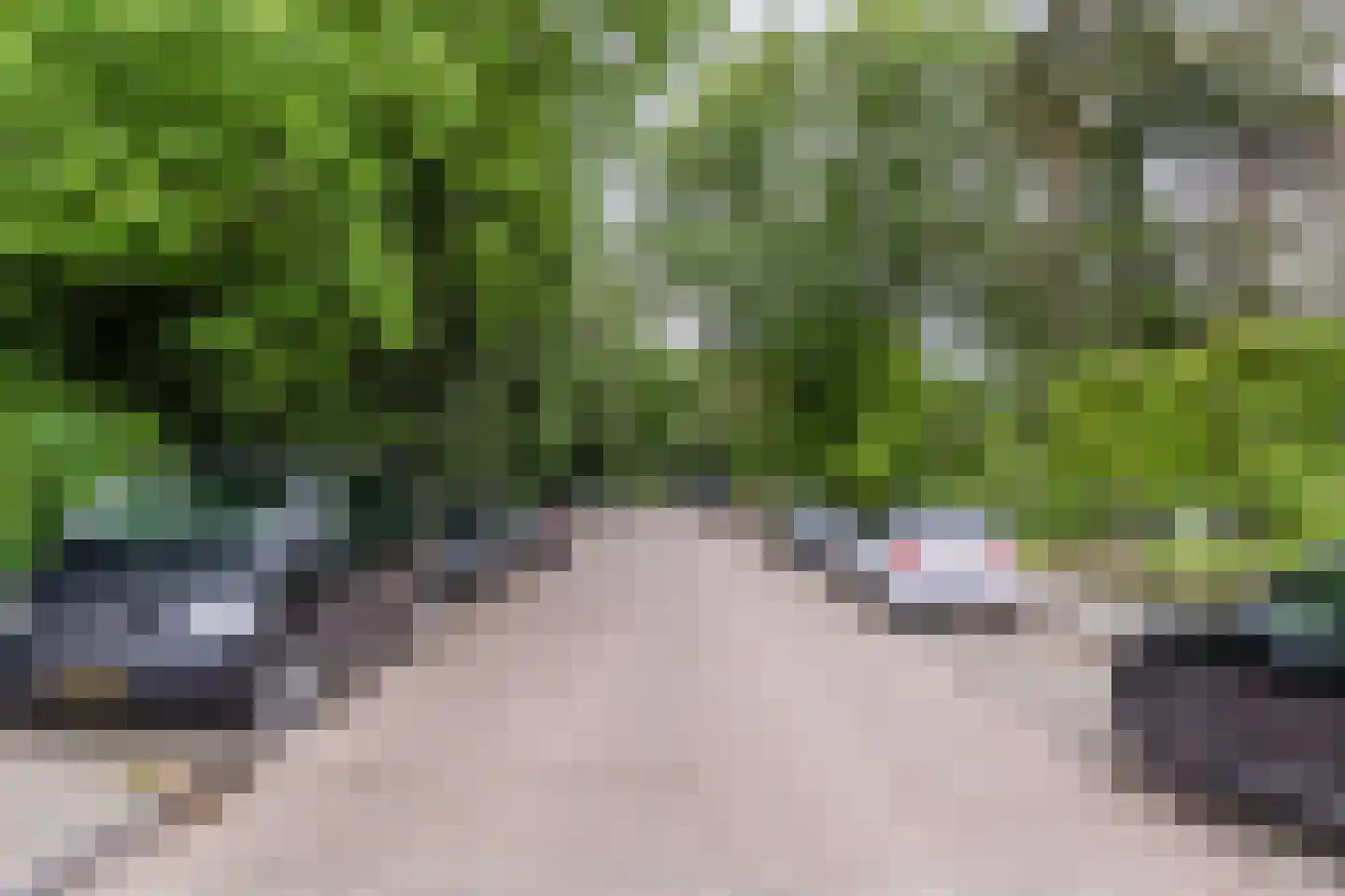 Antoon Coolenlaan 26 Tilburg thumbnail 39