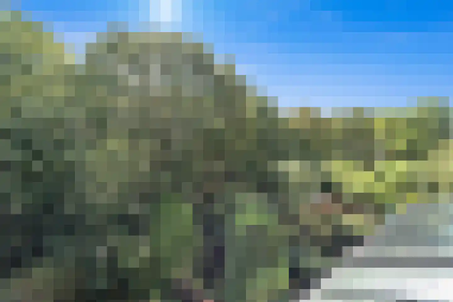 Antoon Coolenlaan 33 Delft thumbnail 21
