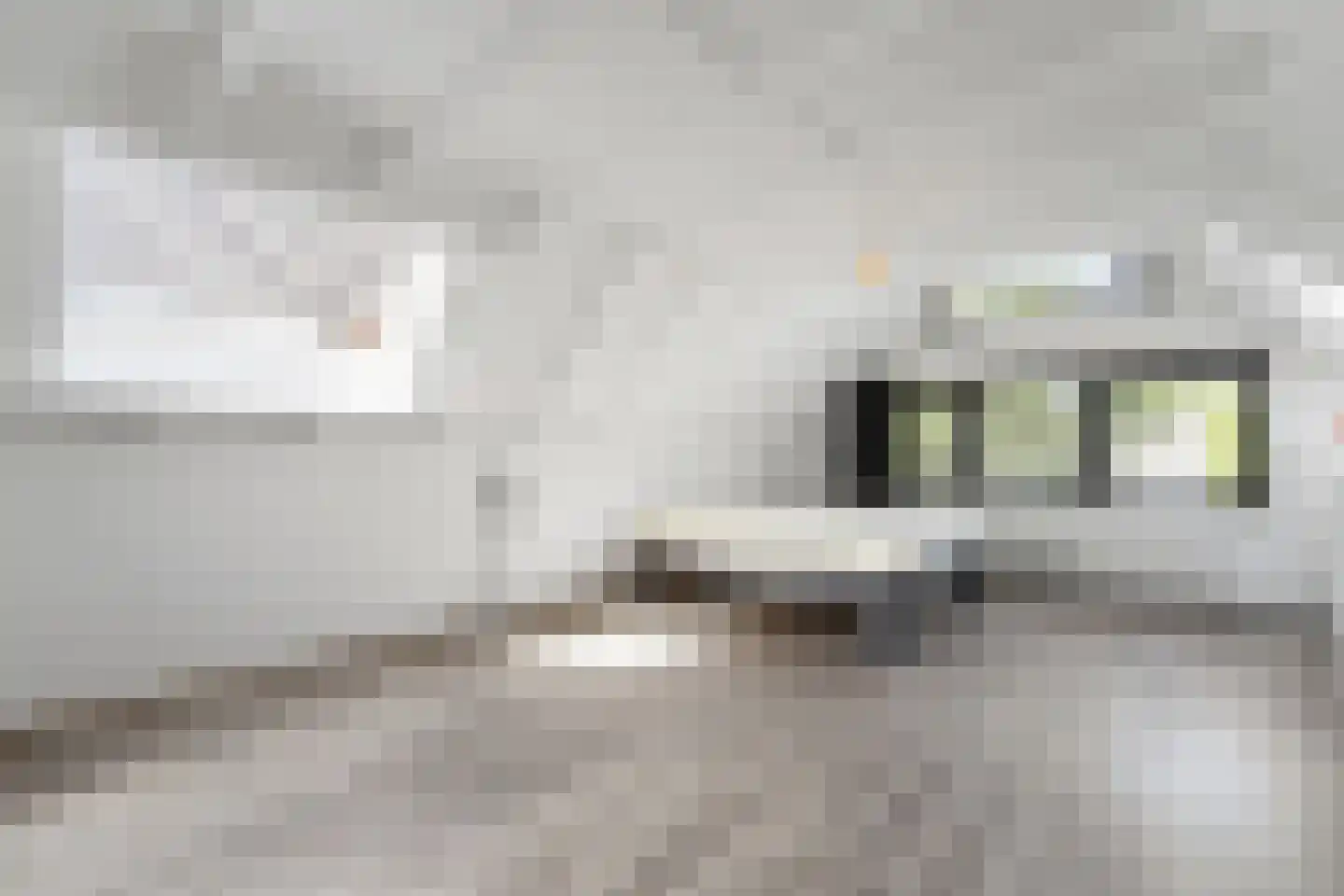 Antoon Coolenlaan 33 Delft thumbnail 41
