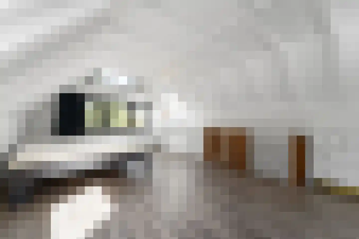 Antoon Coolenlaan 33 Delft thumbnail 42