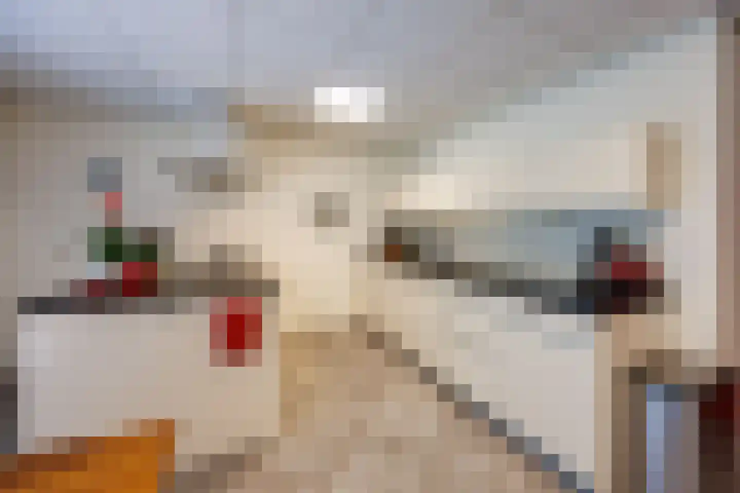 Antoon Coolenlaan 33 Delft thumbnail 8