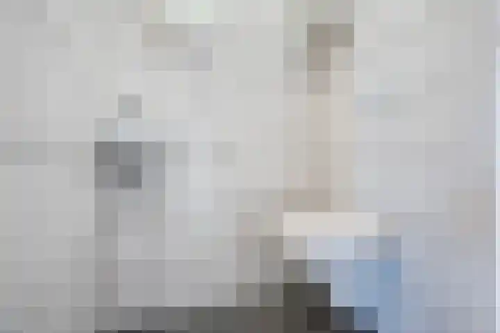 Antoon Coolenlaan 35 Tilburg thumbnail 14