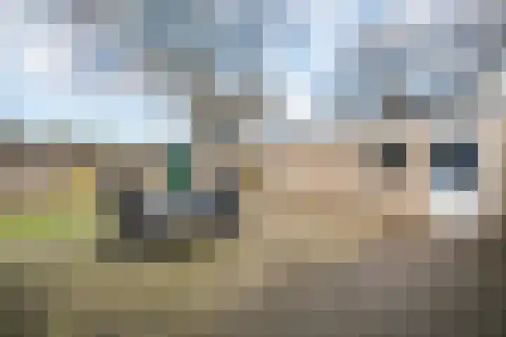 Antoon Coolenlaan 35 Tilburg thumbnail 30