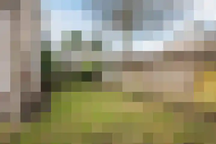 Antoon Coolenlaan 35 Tilburg thumbnail 34