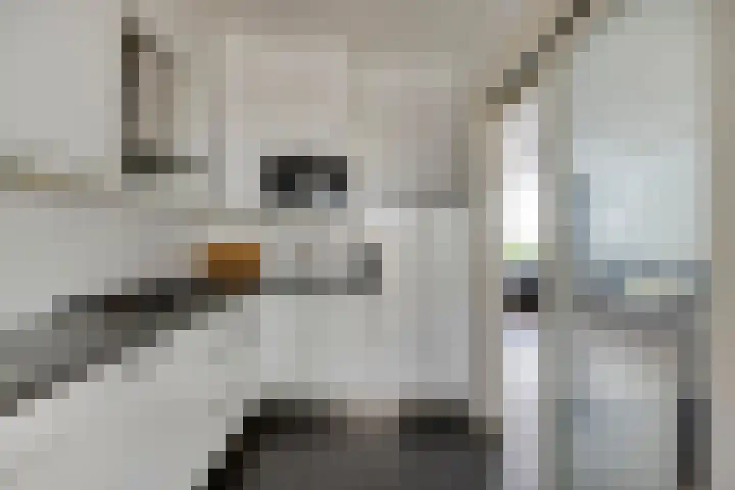 Antoon Coolenlaan 41 Tilburg thumbnail 15
