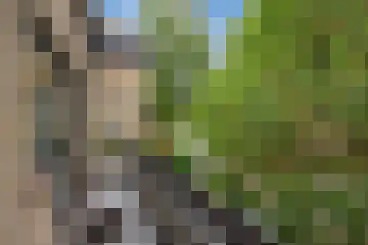 Antoon Coolenlaan 45 Delft thumbnail 19