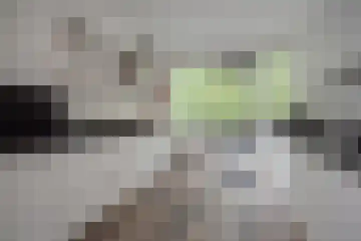 Antoon Coolenlaan 45 Delft thumbnail 21