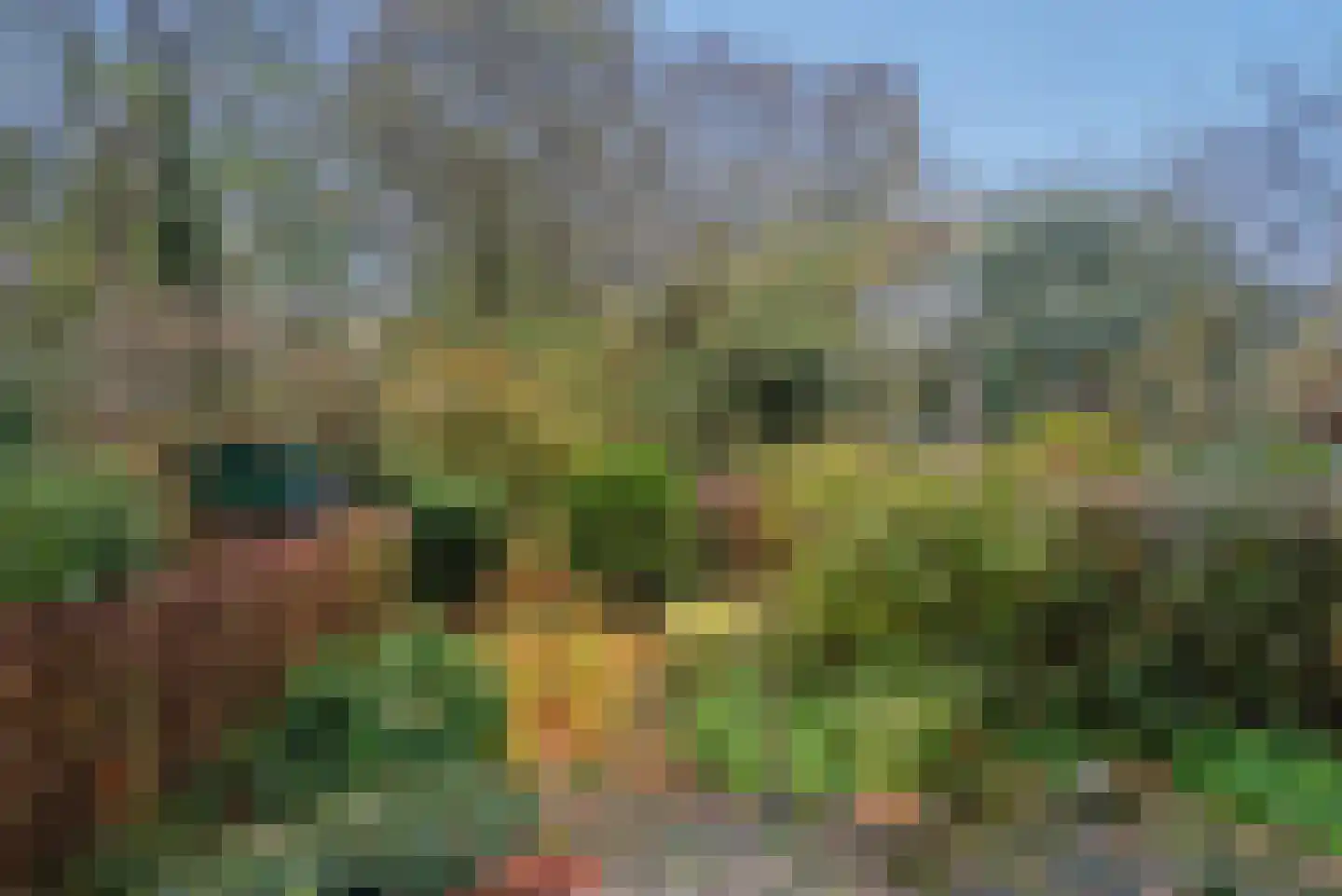 Antoon Coolenlaan 5 Delft thumbnail 10