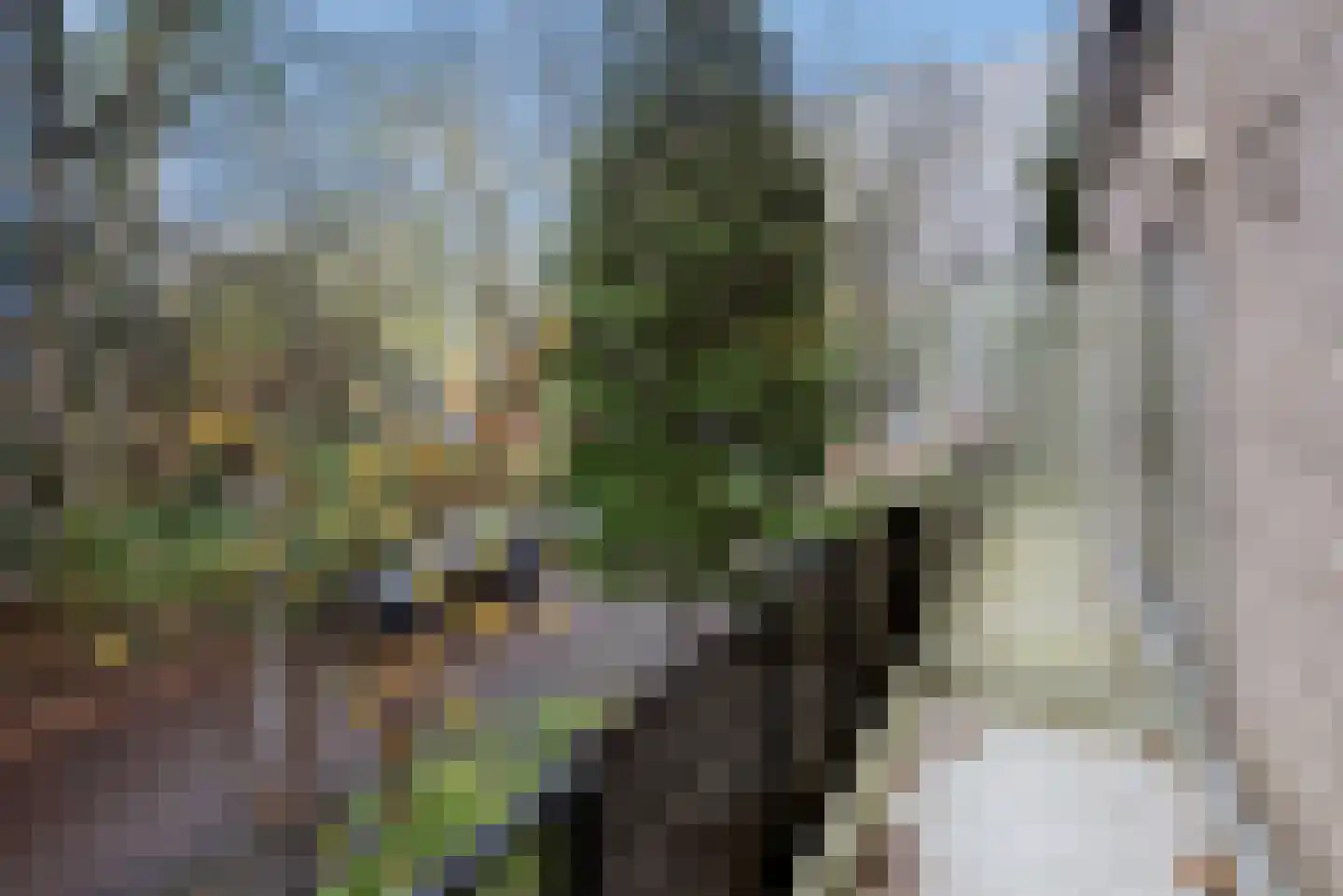 Antoon Coolenlaan 5 Delft thumbnail 15