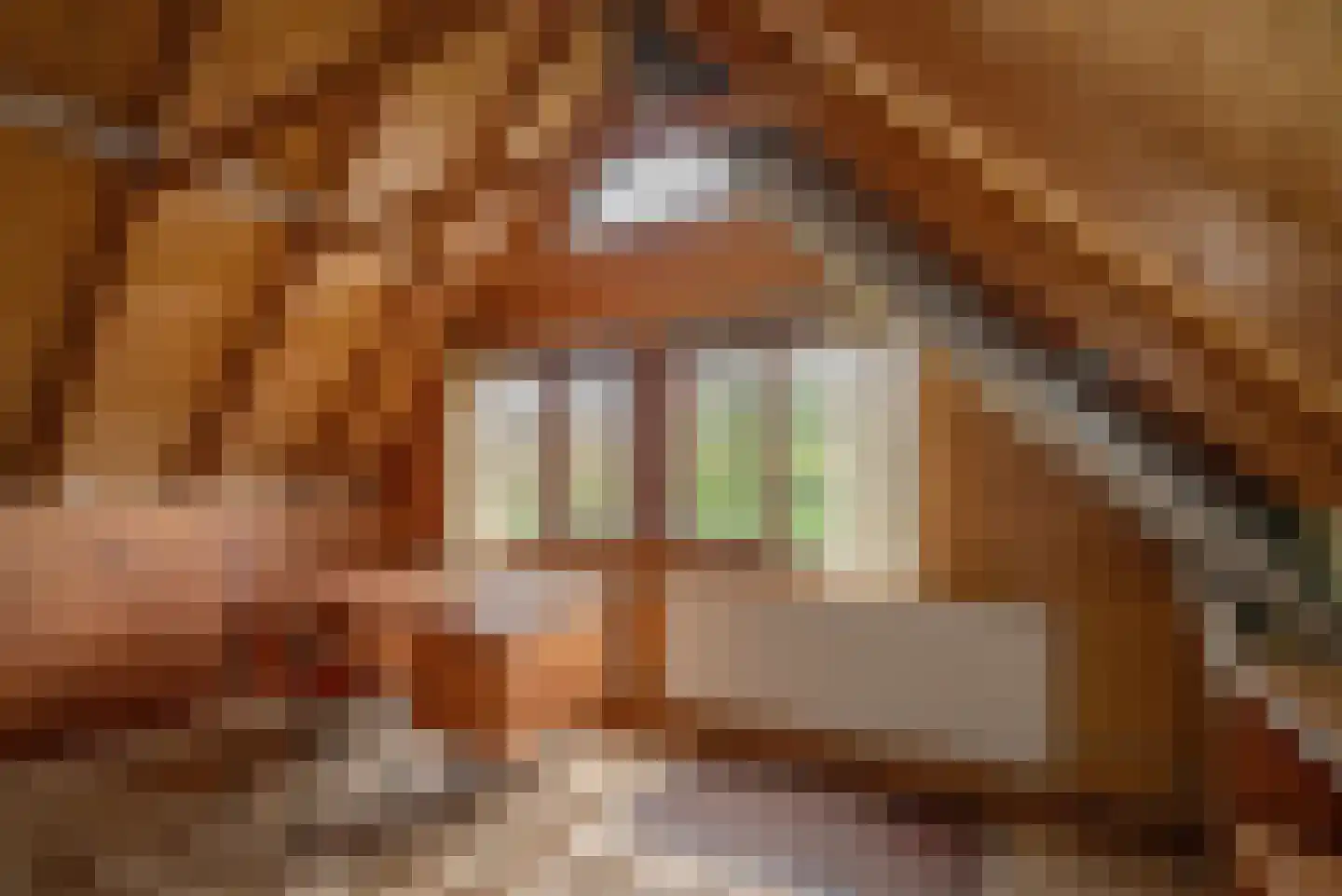 Antoon Coolenlaan 5 Delft thumbnail 27
