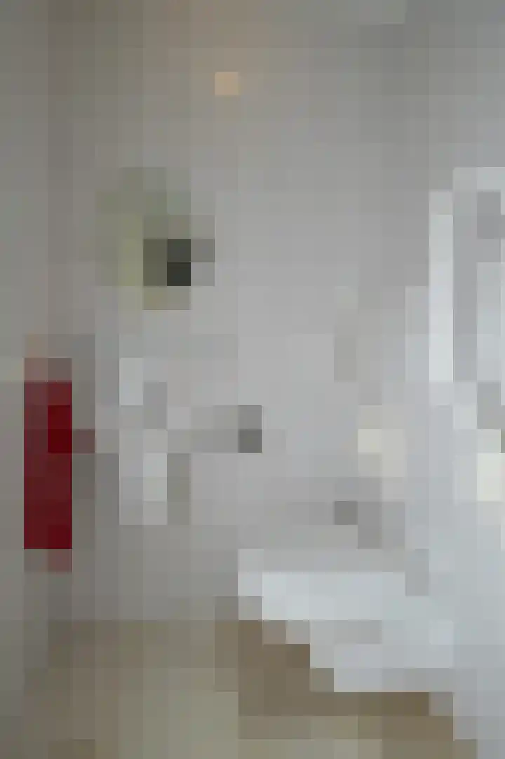 Antoon Coolenlaan 5 Deurne thumbnail 10