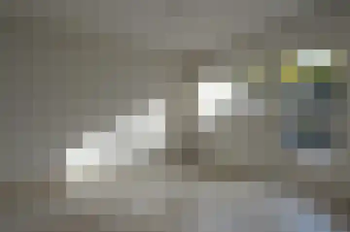 Antoon Coolenlaan 5 Deurne thumbnail 14
