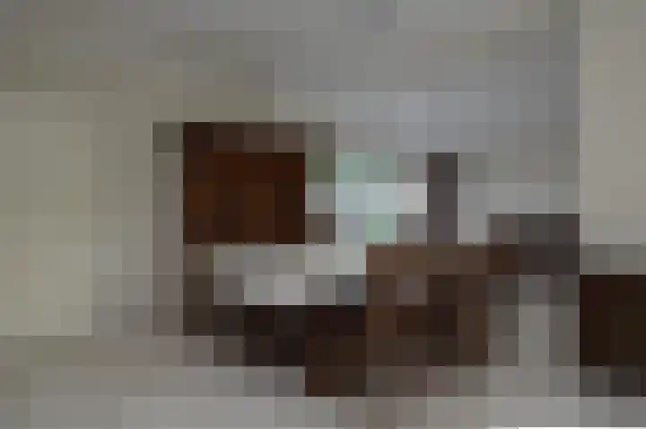 Antoon Coolenlaan 5 Deurne thumbnail 5